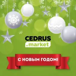 С наступающим Новым годом и Рождеством! 